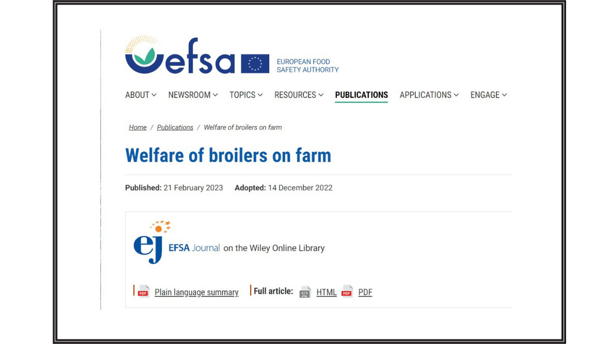 NZ Animal Welfare Standards called into question